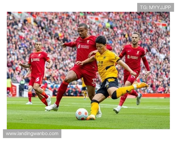 万博足球官网入口：2024年最全官方入口导航与使用技巧