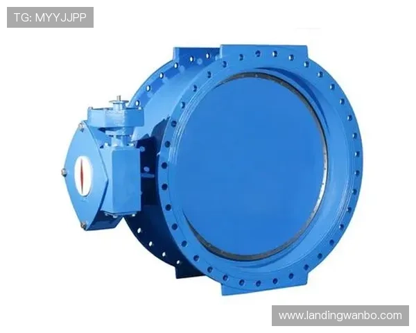 万博manbetx平台登录安全保障措施详解与用户使用指南