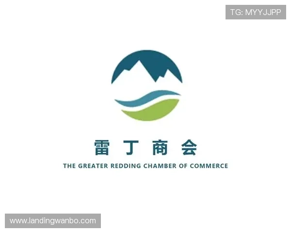 新宝gg赌博官网最新技术支持与平台稳定性分析报告